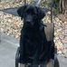 Dan Broadwater - Facebook