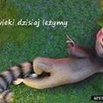 Daniel Brodowski - @danielbrodowski - Instagram