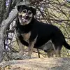 danielbrodsky475 - @danielbrodsky475 - TikTok