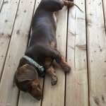 Daniel Brodeur - @moon871a - Instagram