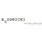 Daniel Brodnicki - @brodnicki_vizstudio - Instagram