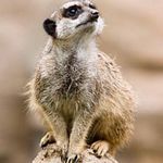 Daniel - @daniel_broers - Instagram