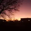 Daniel_broman - @daniel.broman_ - TikTok