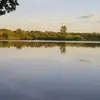 Daniel Bronner - @velho.da.rosa - TikTok