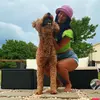 DanielleBrooke🧁 - @daniellebrookeh - TikTok
