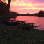 Daniel Broom - @wiltshirecarpcatcher - Instagram
