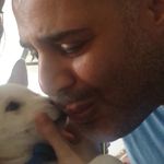 @daniel_broshi - Instagram