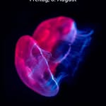 Daniel Brosius - @brosius.daniel - Instagram