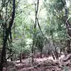 danielbrottierndo - @danielbrottierndo - TikTok