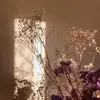 danielbrottman - @danielbrottman - TikTok
