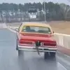 Daniel Brown - @daniel.brown398 - TikTok