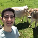 Daniel Moreno - @danielbrownie123 - Instagram