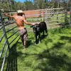 Daniel Browning - @daniel.browning2 - TikTok