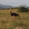 Dan Broxton - @danbroxton - TikTok