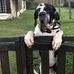 Daniel Brozek - Facebook