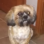 Skip Jack Daniel Bruggeman - @skipjackdanielbruggeman - Instagram