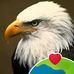 Daniel Bruinsma - Facebook