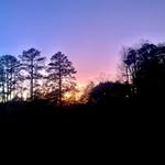 Daniel Brumfield - @y0ur.l0c4l1d10t - Instagram