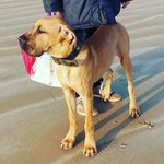 Daniel Bruneau - @bruneau168 - Instagram