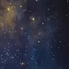 Daniel Bruni - @daniel.bruni88 - TikTok