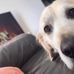 Daniel Brush - Facebook