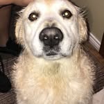 daniel brush - @daniel_brush123 - Instagram