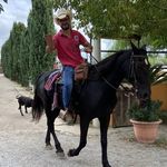 Daniel Brutto - @brutto_daniel - Instagram
