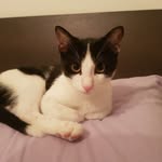 Daniela Bruzzese - @daniela_bruzzese70 - Instagram