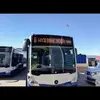 Daniel Brzezinski377 - @danielbrzezinski7 - TikTok