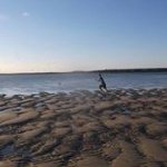 Daniel Brzezinski-Rockwell - @rocker2015 - Instagram