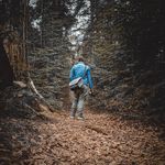 Daniel Bub - @danielbub0401 - Instagram
