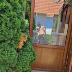 Daniel Bubuțanu - @daniel_bubutanu - Instagram