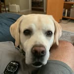 Daniel Bucca - @daniel_bucca - Instagram