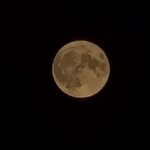 Daniel Büchner - @buchner9607 - Instagram