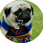 Dylan_Dog - @daniel_buckovic.official - Instagram