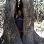 Daniel Buckwalter - @danielbuckwalter - Instagram