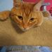 Daniel Buckwalter - Facebook