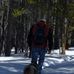 R. Daniel Buckwalter - Facebook