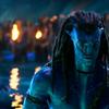 AVATAR - @danielbucovineanu - TikTok