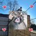 Daniel Budde - Facebook