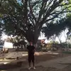 danielbueso32 - @danielbueso32 - TikTok