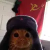 Daniel Bullen - @dano.bullen0 - TikTok