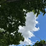 Daniel Bunn - @danielbunn14 - Instagram