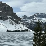 Daniel Bunn - @bunn1971 - Instagram