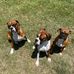 Daniel Bunn - Facebook