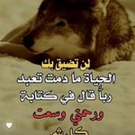 Daniel Burch - @danielburch32 - Instagram