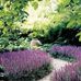 Daniel Burney Garden services - Facebook