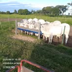 Daniel Pérez - Facebook