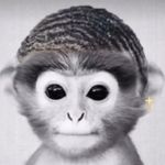 Daniel Burris - @danielburris2 - Instagram