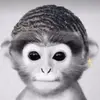 Daniel - @danielburris08 - TikTok